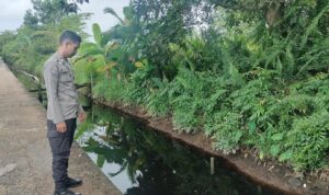 WhatsApp Image 2025-11-13 at 12.03.14 (1)