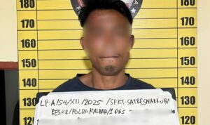 WhatsApp Image 2025-12-11 at 11.38.14